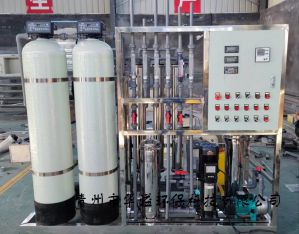 0.5噸雙級(jí)反滲透設(shè)備 水處理設(shè)備 超純水設(shè)備 一體機(jī)去離子水設(shè)備